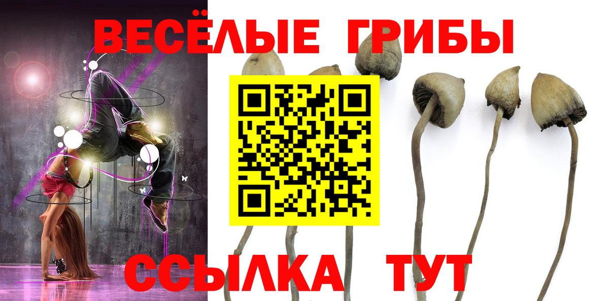 Псилоцибиновые грибы прущие грибы  Вход с VPN  Саратов 